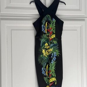 Oasis Black Dress with Tropical Floral Design